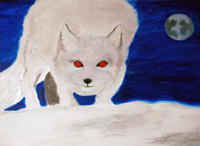 Arctic Fox - Spirit of the North